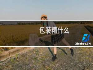 包装精什么