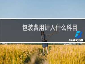 包装费用计入什么科目