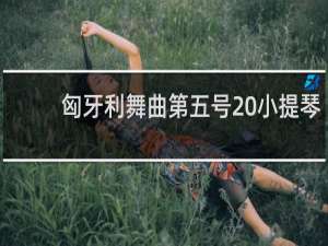 匈牙利舞曲第五号 小提琴