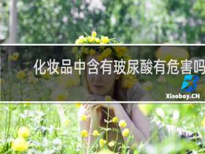 化妆品中含有玻尿酸有危害吗
