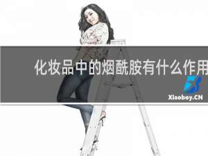 化妆品中的烟酰胺有什么作用