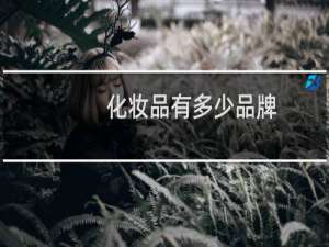 化妆品有多少品牌
