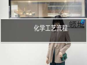 化学工艺流程