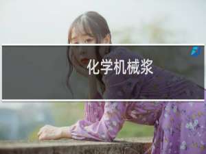 化学机械浆