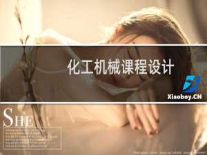 化工机械课程设计