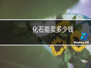 化石能卖多少钱