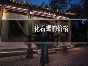 化石螺的价格