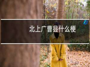 北上广曹县什么梗
