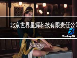 北京世界星辉科技有限责任公司
