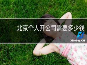 北京个人开公司需要多少钱