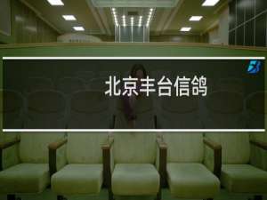 北京丰台信鸽