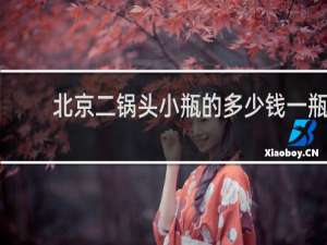 北京二锅头小瓶的多少钱一瓶