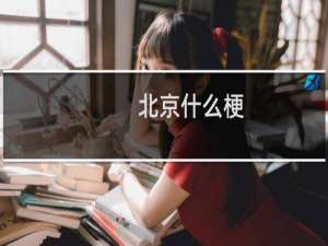 北京什么梗