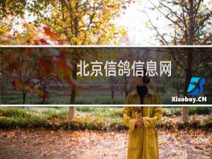北京信鸽信息网