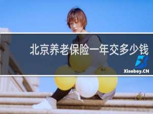 北京养老保险一年交多少钱