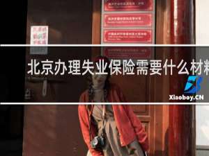 北京办理失业保险需要什么材料
