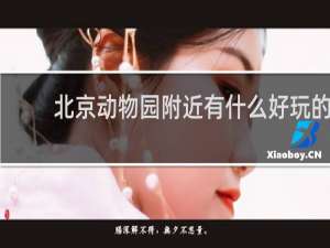 北京动物园附近有什么好玩的