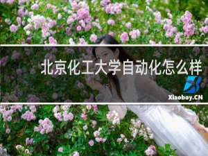 北京化工大学自动化怎么样