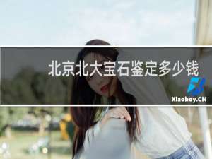北京北大宝石鉴定多少钱
