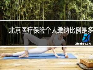 北京医疗保险个人缴纳比例是多少