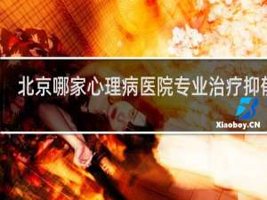 北京哪家心理病医院专业治疗抑郁的