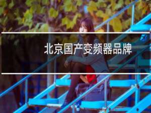 北京国产变频器品牌