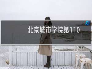 北京城市学院第110组有哪些专业 录取多少分人