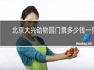 北京大兴动物园门票多少钱一张