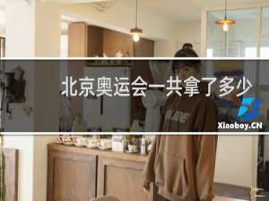 北京奥运会一共拿了多少金牌