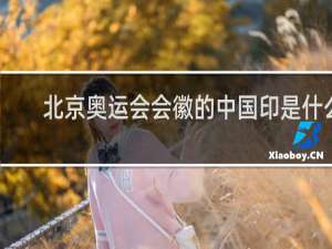 北京奥运会会徽的中国印是什么