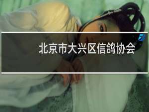 北京市大兴区信鸽协会