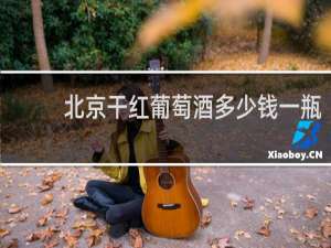 北京干红葡萄酒多少钱一瓶