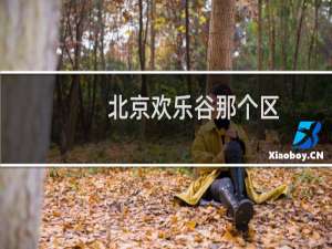 北京欢乐谷那个区