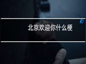 北京欢迎你什么梗