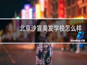 北京沙宣美发学校怎么样