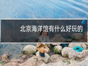 北京海洋馆有什么好玩的