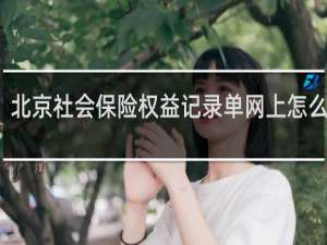 北京社会保险权益记录单网上怎么打印