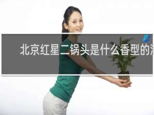 北京红星二锅头是什么香型的酒