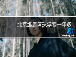 北京维康篮球学费一年多少钱