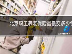 北京职工养老保险最低交多少钱