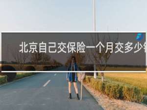 北京自己交保险一个月交多少钱