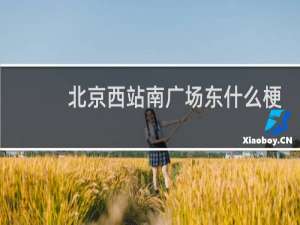 北京西站南广场东什么梗