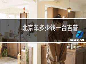 北京车多少钱一台吉普