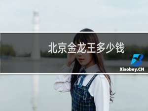 北京金龙王多少钱