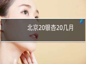 北京 银杏 几月