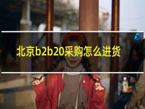 北京b2b 采购怎么进货