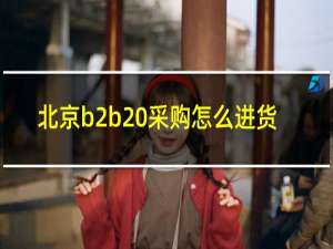 北京b2b 采购怎么进货