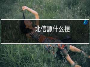 北信源什么梗