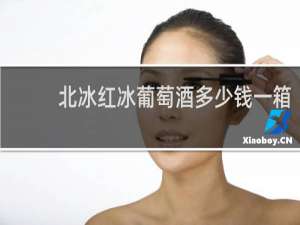 北冰红冰葡萄酒多少钱一箱