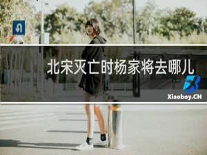 北宋灭亡时杨家将去哪儿了？